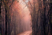 开云体育官网:患病淡出后回归 前乒乓世界冠军朱雨玲打球和事业两不误.