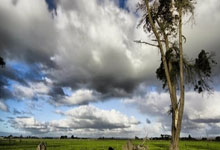 05后大师赛决赛第一人!19岁新星险胜本土一哥,决赛PK德约争冠.