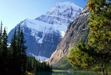 包揽NBA、NCAA冠军和奥运金牌有多难?历史只有8人达成,现役仅1人上榜!.